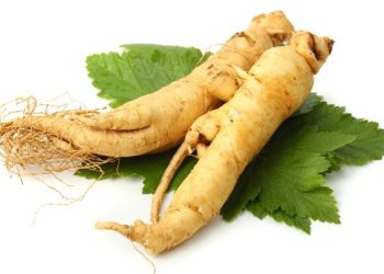 10 Manfaat Gingseng Untuk Kesehatan Yang Wajib di Ketahui