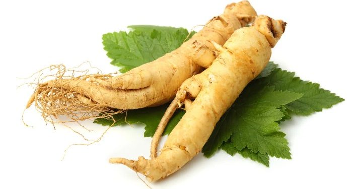 10 Manfaat Gingseng Untuk Kesehatan Yang Wajib di Ketahui