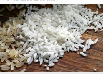 Wakil Ketua Komisi IV DPR RI Sebut Pengoplos Beras Tindakan Yang Tidak Bisa di Maafkan