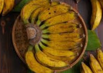 Kenali Ciri dan Manfaat Pisang Raja Sereh