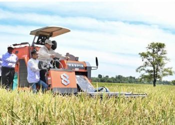 Presiden Prabowo Berhasil Swasembada Pangan di Satu Tahun Kepemimpinan nya