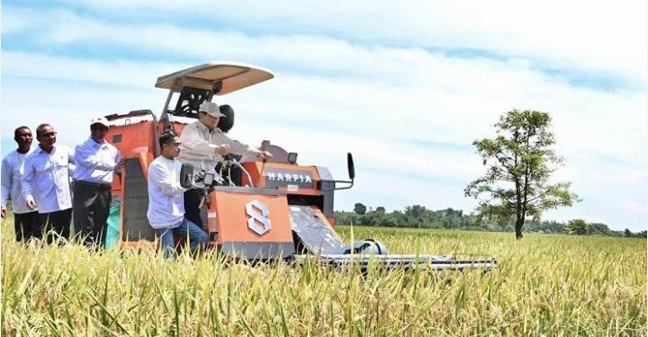 Presiden Prabowo Berhasil Swasembada Pangan di Satu Tahun Kepemimpinan nya