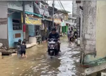 BPBD DKI Waspada Banjir Rob Ancam Wilayah Pesisir Jakarta Utara